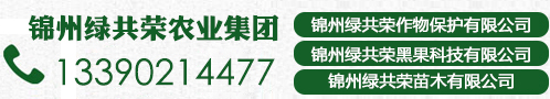 锦州W66最给力的老牌娱乐苗木有限公司-下属公司-W66最给力的老牌娱乐