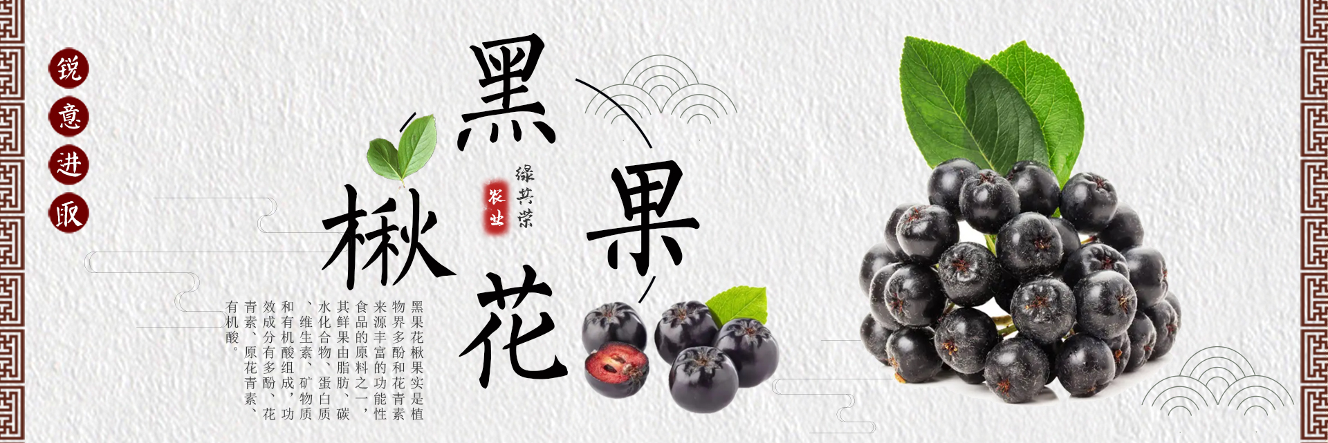 锦州W66最给力的老牌娱乐苗木有限公司-下属公司-W66最给力的老牌娱乐