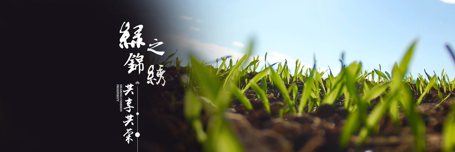 锦州W66最给力的老牌娱乐苗木有限公司-下属公司-W66最给力的老牌娱乐