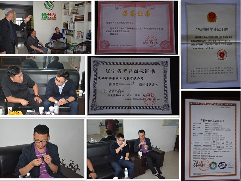w66国际官网(中国)最给力的老牌娱乐 - welcome
