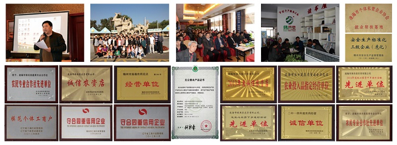 w66国际官网(中国)最给力的老牌娱乐 - welcome