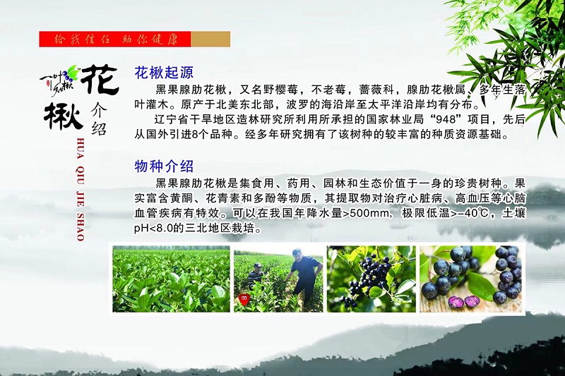 w66国际官网(中国)最给力的老牌娱乐 - welcome
