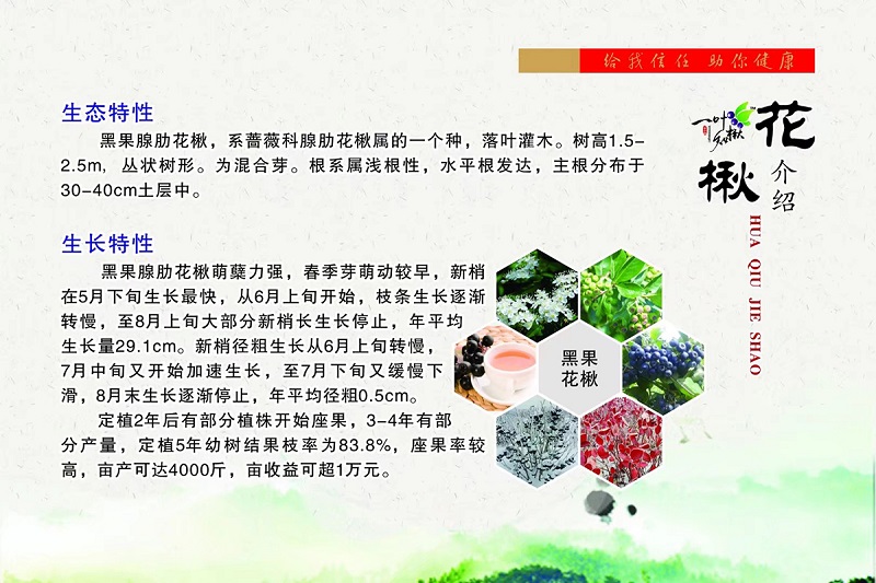 w66国际官网(中国)最给力的老牌娱乐 - welcome