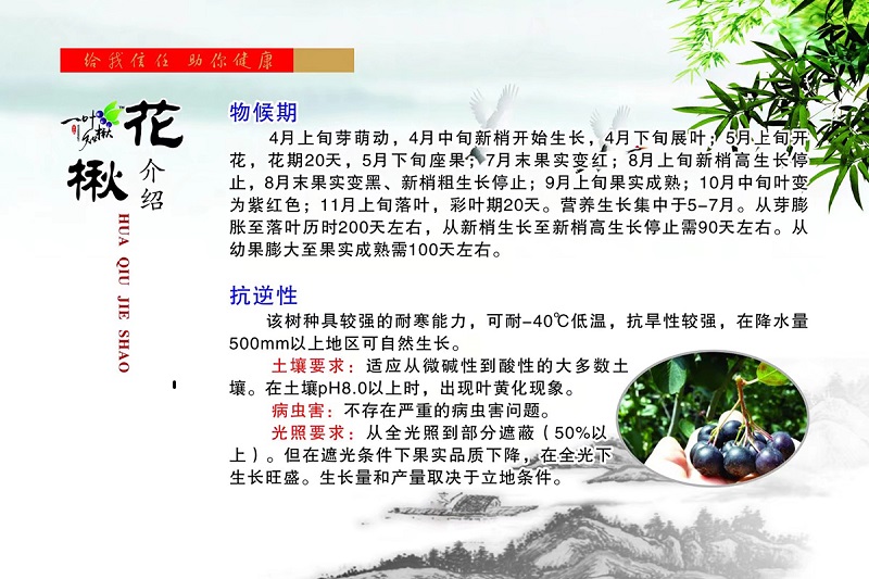 w66国际官网(中国)最给力的老牌娱乐 - welcome