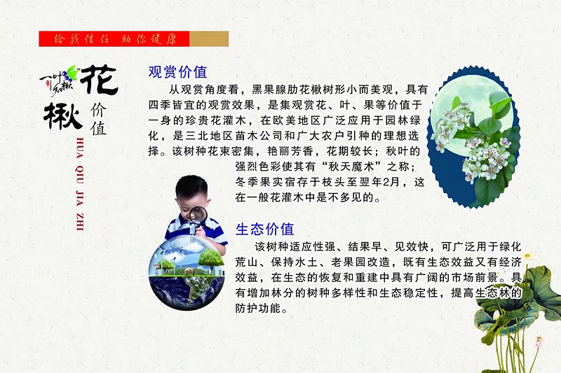 w66国际官网(中国)最给力的老牌娱乐 - welcome