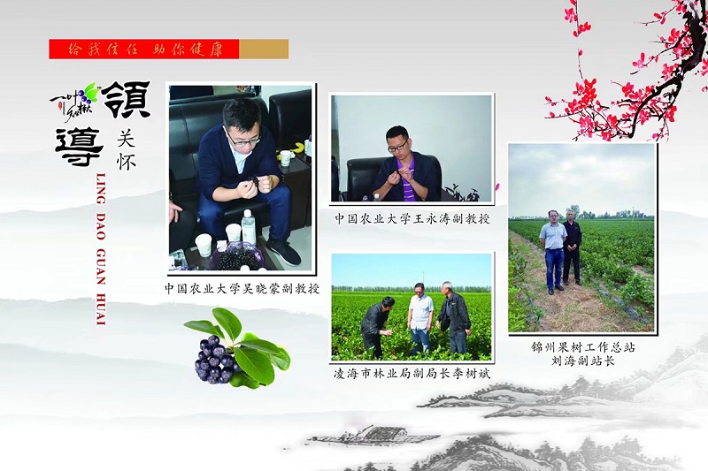 w66国际官网(中国)最给力的老牌娱乐 - welcome