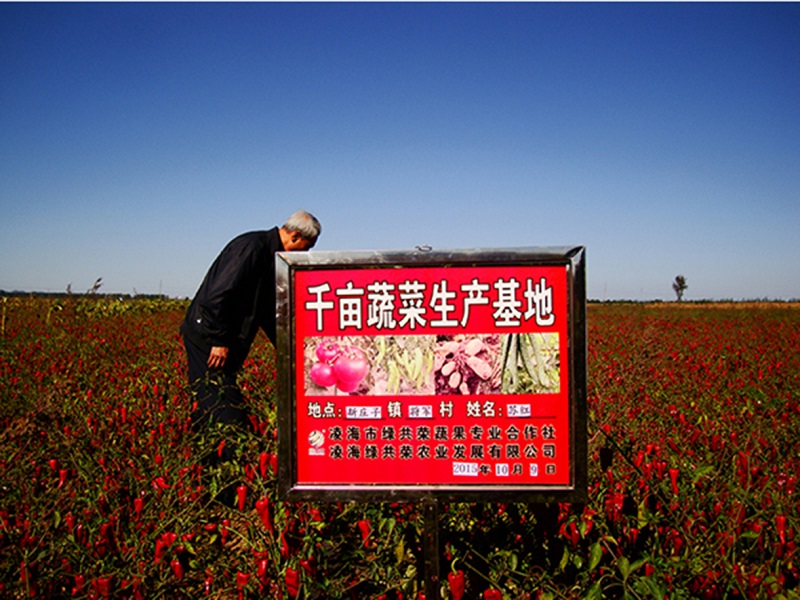 w66国际官网(中国)最给力的老牌娱乐 - welcome